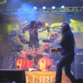 Beholder Fest 15