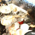 Expomusic 2011 97